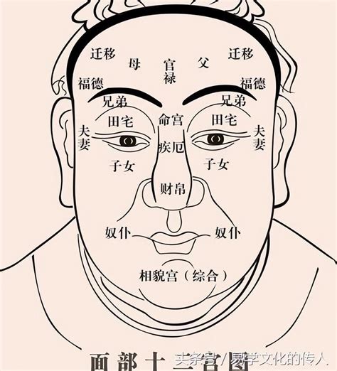 麻衣面相|《麻衣相法》面相十二宫图文详解大全